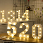 乾電池式暖白色スタンディングハンギングホリデーライト LED6214A、LED6214B、LED6214C、LED6214D、LED6214E、LED6214F、LED6214G、LED6214H、LED6214J、LED6214K