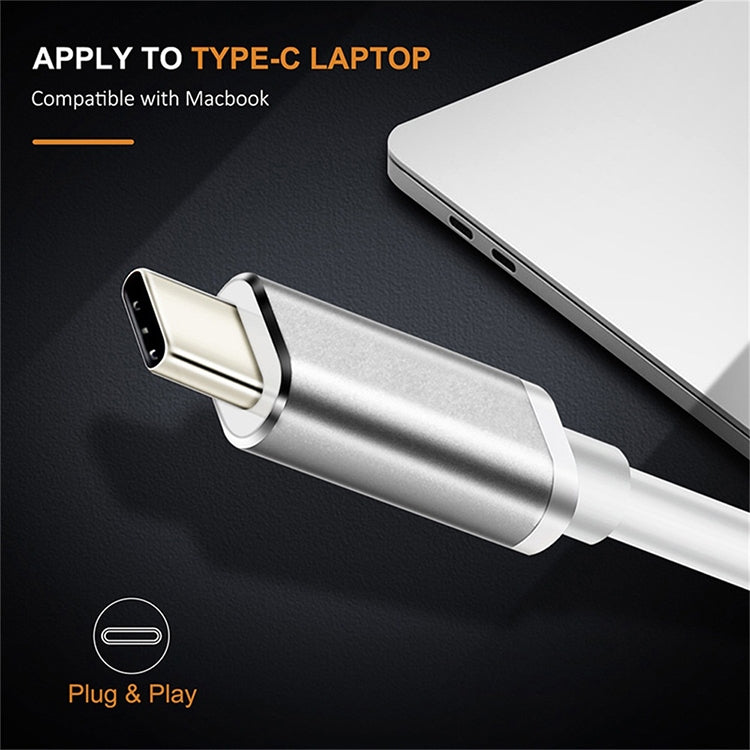 USB-C / Type-C 3.1 オス - DP メス HD変換アダプター、長さ：12cm