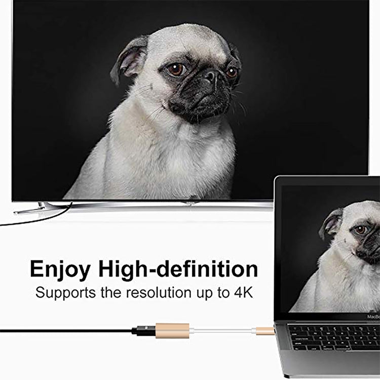 USB-C / Type-C 3.1オスからMini DPメスHD変換アダプター、長さ：12cm、シルバー、ゴールド