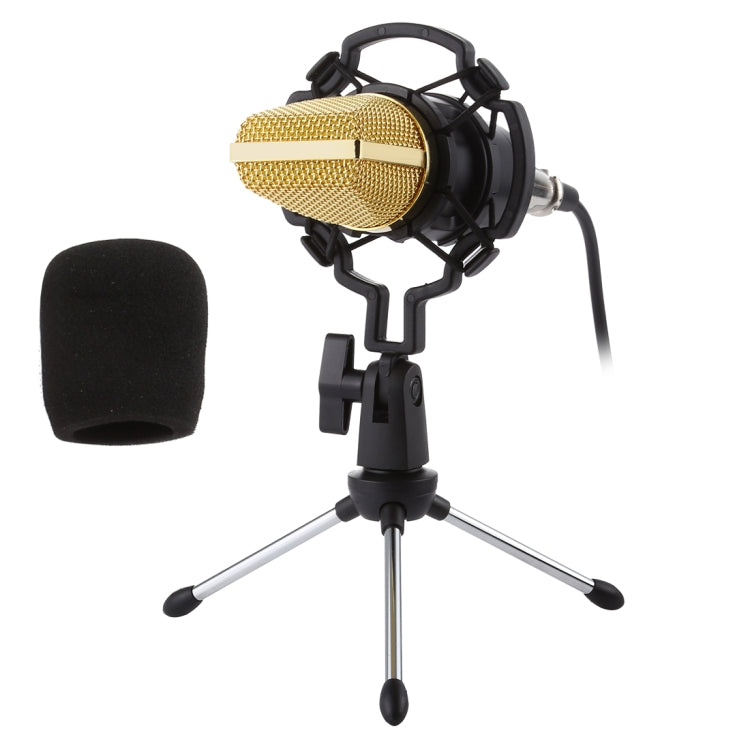 BM-700 USB プロフェッショナルコンデンサーマイクロフォン