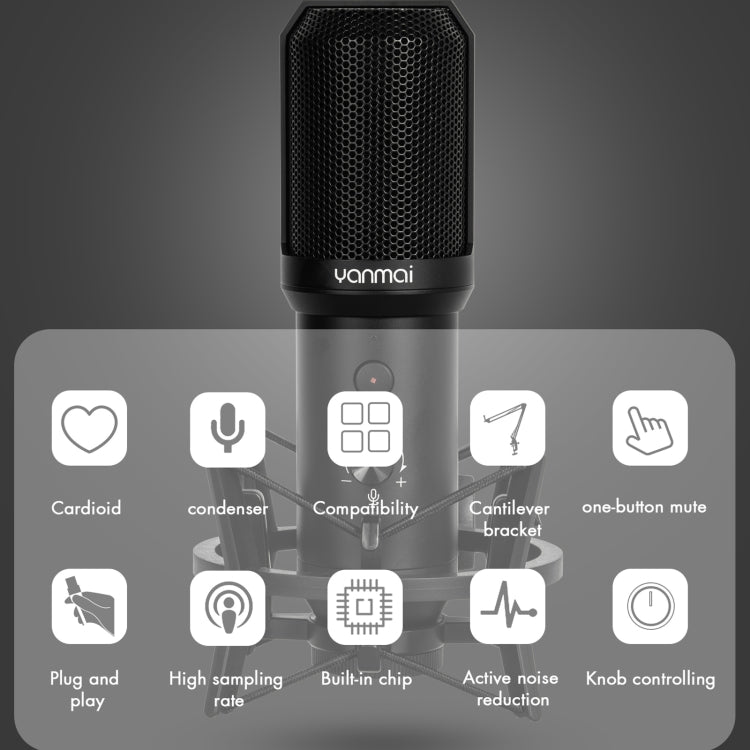 Yanmai Q10B USB録音マイクキット、Q10B