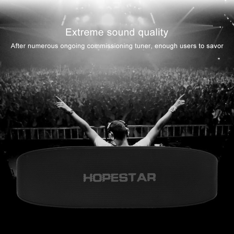 HOPESTAR H11 ミニポータブルラビットワイヤレスBluetoothスピーカー、内蔵マイク、AUX / ハンズフリー通話 / FM / TF対応、H11
