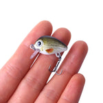 HENGJIA 5個セット 2.7cm/1.5g ルアーロックフィッシングルアーベイト バイオニックキット プラスチックボックス付き、Box008