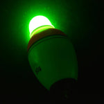 釣り道具 電子ナイトライト フローター 蓄光浮き 3.5cm/30g, 3.9cm/40g, 4.2cm/50g, 4.5cm/60g, 4.8cm/80g