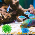 水族館用品装飾 TPRシミュレーションウニボールサンゴ、サイズ：S、直径：7cm、サイズ：S