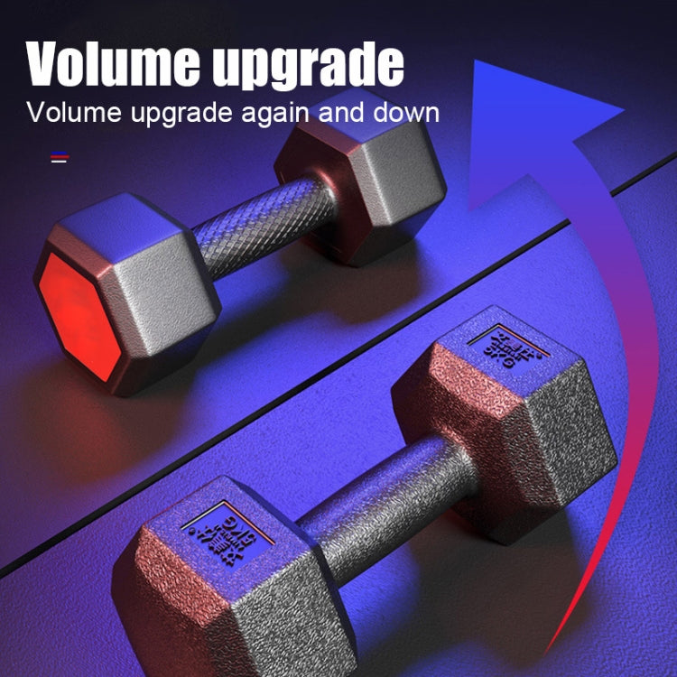 4kg A Pair Glue-Covered Hexagonal Dumbbell, 4kg