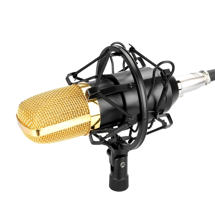 FIFINE F-700 プロフェッショナルコンデンサーマイク ショックマウント付き スタジオ・ラジオ放送・ライブ配信用 3.5mmイヤホンポート ケーブル長2.5m
