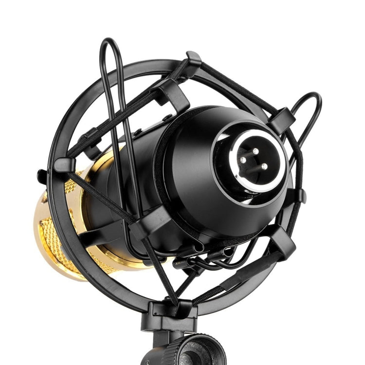FIFINE F-700 プロフェッショナルコンデンサーマイク ショックマウント付き スタジオ・ラジオ放送・ライブ配信用 3.5mmイヤホンポート ケーブル長2.5m