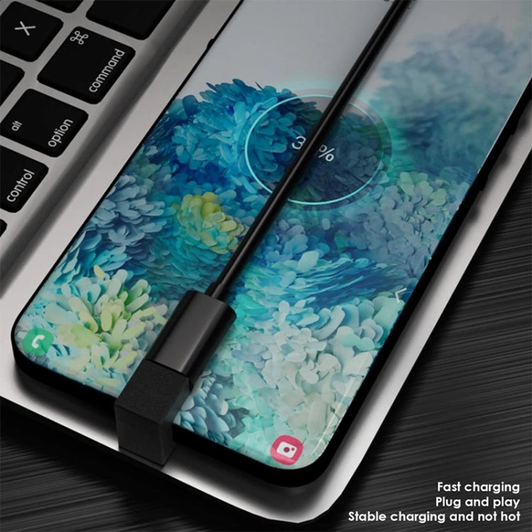 USB-C / タイプC メスからUSB-C / タイプC メス変換器、2個セット