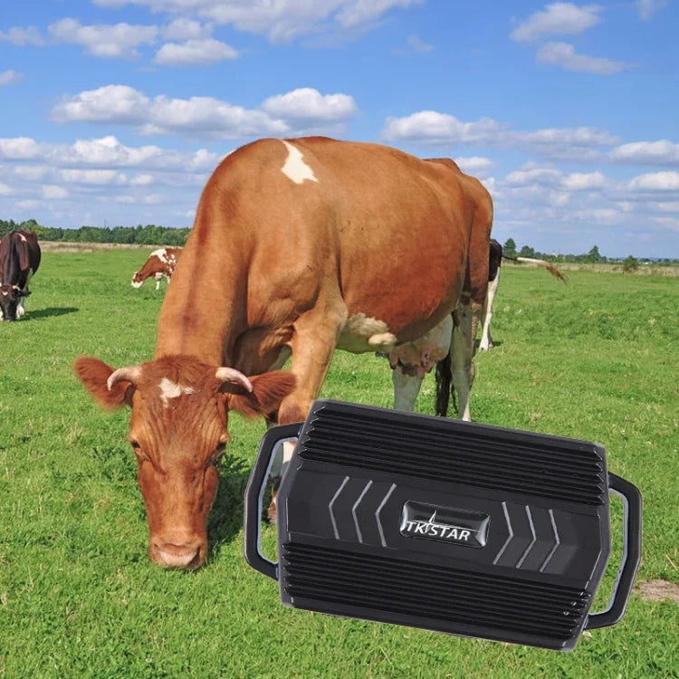 TKSTAR TK935 3000mAh GPS ペット 家畜 車用トラッカー 防水ロケーター、TK935