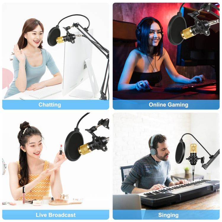 PULUZ コンデンサーマイク スタジオ放送用プロフェッショナル歌唱マイク