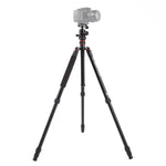 Triopo MT-2504C 調節可能なポータブルアルミニウム三脚 NB-1Sボールヘッド付き Canon Nikon Sony DSLRカメラ用, MT-2504C（ブラック）, MT-2504C（ゴールド）