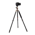 Triopo MT-2504C 調節可能なポータブルアルミニウム三脚 NB-1Sボールヘッド付き Canon Nikon Sony DSLRカメラ用, MT-2504C（ブラック）, MT-2504C（ゴールド）