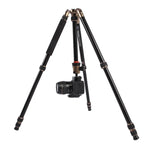 Triopo MT-2504C 調節可能なポータブルアルミニウム三脚 NB-1Sボールヘッド付き Canon Nikon Sony DSLRカメラ用, MT-2504C（ブラック）, MT-2504C（ゴールド）