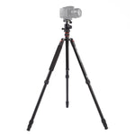 Triopo MT-2504C 調節可能なポータブルアルミニウム三脚 NB-1Sボールヘッド付き Canon Nikon Sony DSLRカメラ用, MT-2504C（ブラック）, MT-2504C（ゴールド）