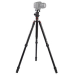 Triopo MT-2804C 調節可能なポータブルアルミニウム三脚 NB-2Sボールヘッド付き Canon Nikon Sony DSLRカメラ用, MT-2804C（ブラック）, MT-2804C（ゴールド）
