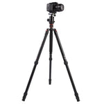 Triopo MT-2804C 調節可能なポータブルアルミニウム三脚 NB-2Sボールヘッド付き Canon Nikon Sony DSLRカメラ用, MT-2804C（ブラック）, MT-2804C（ゴールド）