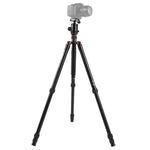 Triopo MT-2804C 調節可能なポータブルアルミニウム三脚 NB-2Sボールヘッド付き Canon Nikon Sony DSLRカメラ用, MT-2804C（ブラック）, MT-2804C（ゴールド）