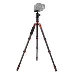 Triopo GT-2505x8.C 調節可能なポータブルカーボンファイバー三脚 B-1アルミニウムボールヘッド付き Canon Nikon Sony DSLRカメラ用, GT-2505x8.C（ブラック）, GT-2505x8.C（ゴールド）
