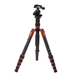 Triopo GT-2505x8.C 調節可能なポータブルカーボンファイバー三脚 B-1アルミニウムボールヘッド付き Canon Nikon Sony DSLRカメラ用, GT-2505x8.C（ブラック）, GT-2505x8.C（ゴールド）