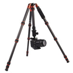 Triopo GT-2505x8.C 調節可能なポータブルカーボンファイバー三脚 B-1アルミニウムボールヘッド付き Canon Nikon Sony DSLRカメラ用, GT-2505x8.C（ブラック）, GT-2505x8.C（ゴールド）