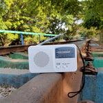 多機能携帯用ソーラー/クランクダイナモ電源LED懐中電灯 AM/FMラジオ＆携帯電話充電器付き、RD369