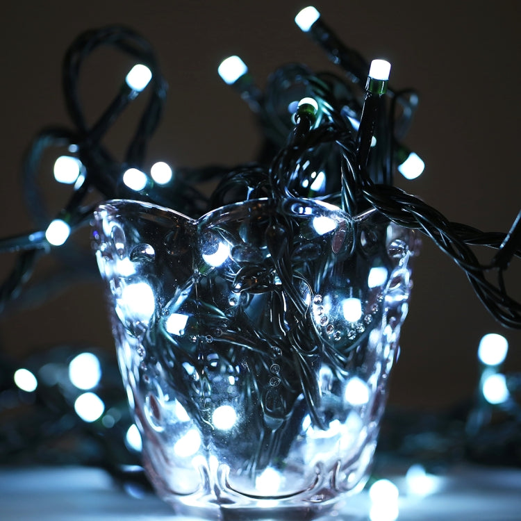 100 LED RGBライト コントローラー付き、点滅 / フェード / チェイス効果、暖白色 EUプラグ、白色光 EUプラグ、220V カラフルライト EUプラグ