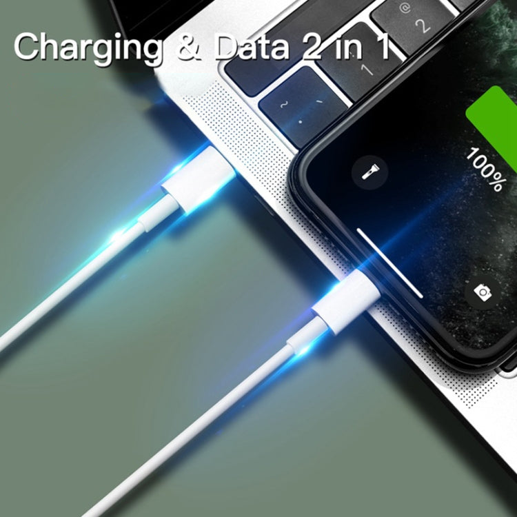 USB-C / Type-C 3.1オス to 8ピンオス データケーブル 長さ: 1m