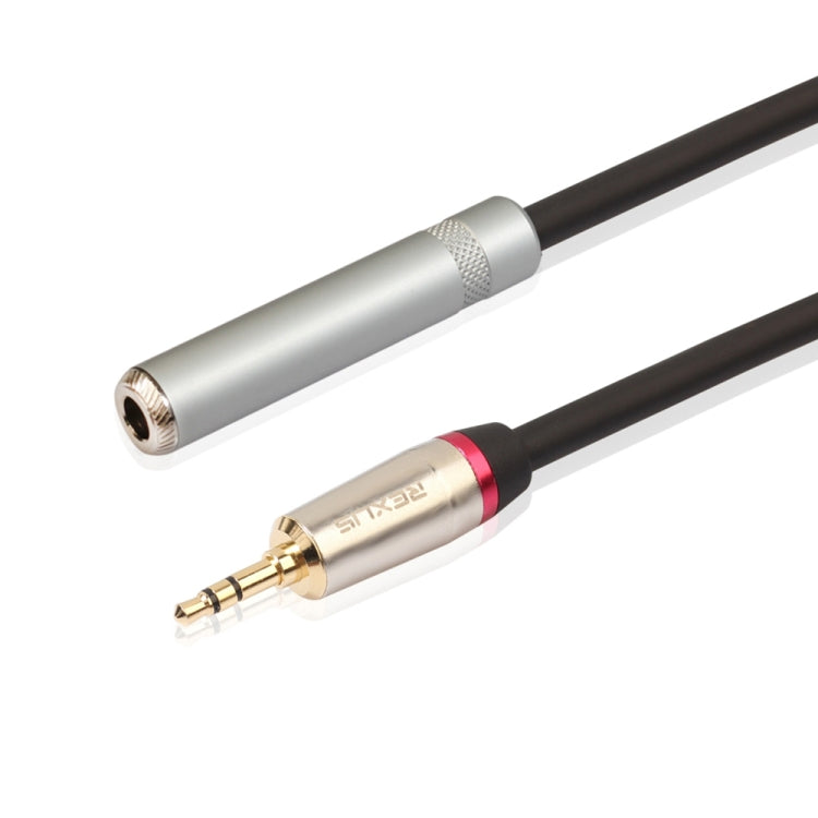 REXLIS TC128MF 3.5mm オス から 6.5mm メス オーディオアダプターケーブル、長さ：60cm