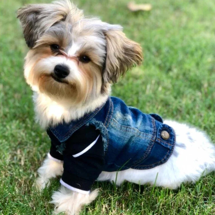 レトロ個性派デニム小型ベスト ペット犬服 ペットジャケット、L、XL、XS、M