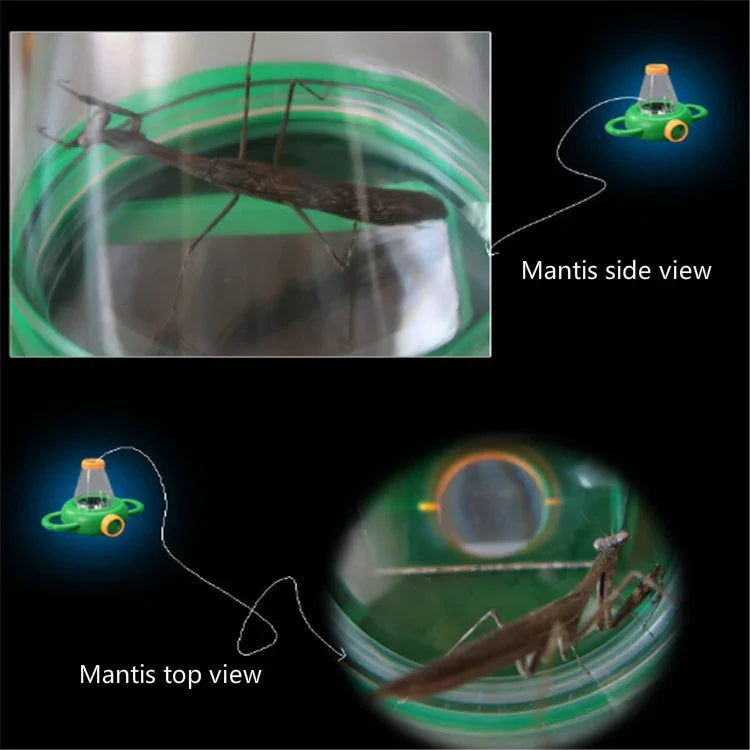 4X ハンドヘルド虫拡大鏡 幼稚園 教育補助具, 4X
