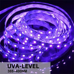 2835 SMD UV 紫色ライトストリップ LEDランプ 装飾ライトストリップ、防水 5m、防水 10m、裸基板 5m、裸基板 10m