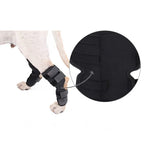 DogLemi PD60041 犬用足首サポーター ペット用後肢圧迫関節ラップ 傷や怪我を保護、S、M、L、XL