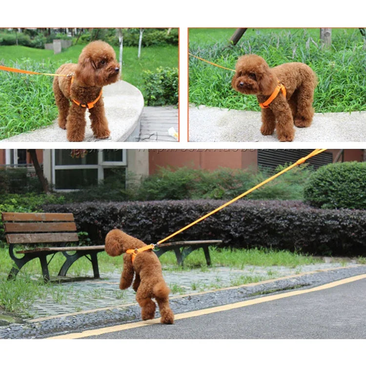 両面LEDライト付きペットハーネス ナイロン猫犬用胸ストラップリード、S、M