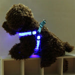 両面LEDライト付きペットハーネス ナイロン猫犬用胸ストラップリード、S、M
