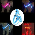 両面LEDライト付きペットハーネス ナイロン猫犬用胸ストラップリード、S、M