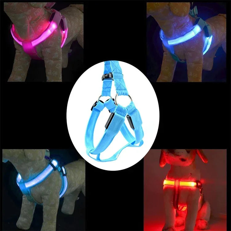 両面LEDライト付きペットハーネス ナイロン猫犬用胸ストラップリード、S、M