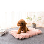 秋冬用暖かいユニバーサルスクエアペット猫・犬用プラッシュパッド, S, XL, L