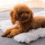 秋冬用暖かいユニバーサルスクエアペット猫・犬用プラッシュパッド, S, XL, L
