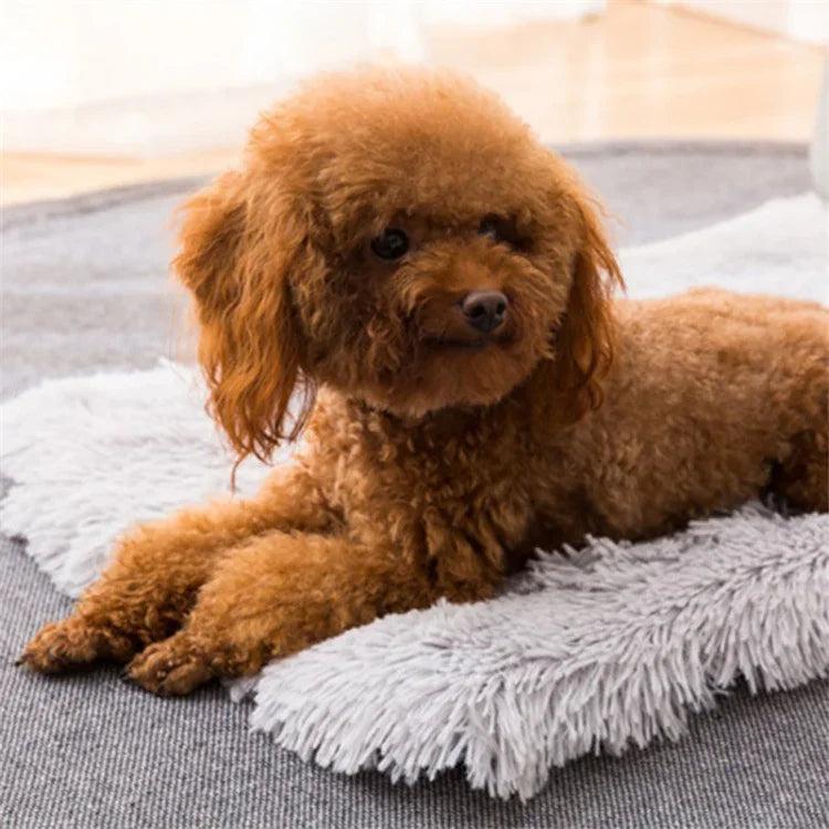 秋冬用暖かいユニバーサルスクエアペット猫・犬用プラッシュパッド, S, XL, L