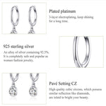 S925 Sterling Silver Platinum-plated Earrings Temperament Zircon Earrings, SCE830