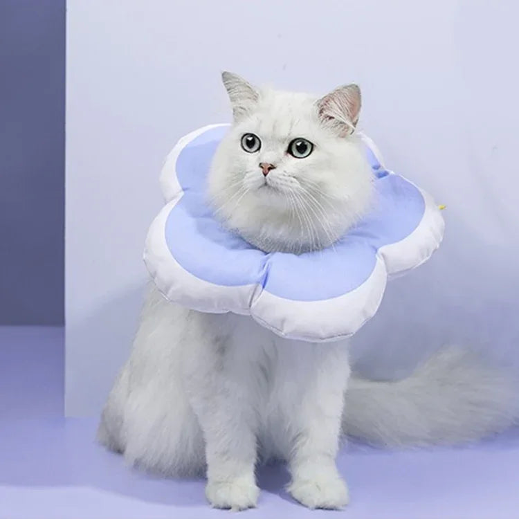 かわいい花形ペット舐め防止首輪、L、S、M