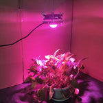 COB 植物育成ライト LED 野菜栽培多肉植物ライト、フルスペクトル、日光