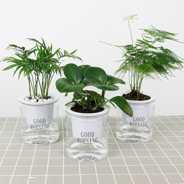 自動吸水 ハイドロポニック鉢 多肉植物用花鉢、文字入り透明