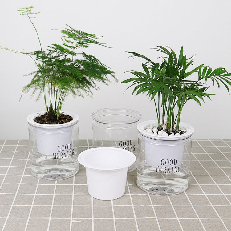 自動吸水 ハイドロポニック鉢 多肉植物用花鉢、文字入り透明