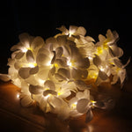 1.5m 10灯 電池式暖白色 クリエイティブDIYプルメリア LEDストリングライト 花柄 ホリデー照明 イベントパーティーガーランド 寝室装飾