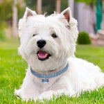 キラキララインストーン犬用首輪クリスタル子犬チワワペット犬用首輪リード小型犬用マスコットアクセサリー、L、M、S