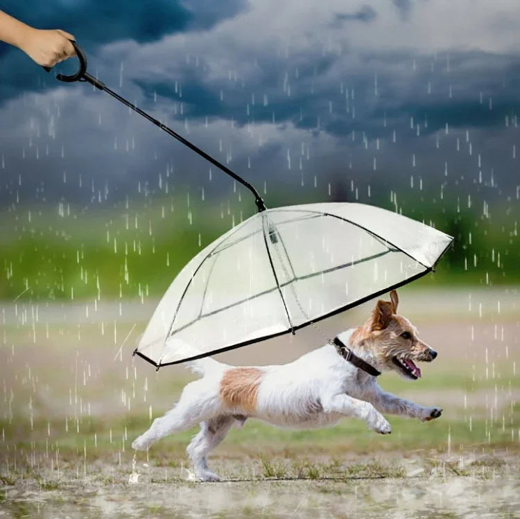 ペット用傘 透明調節可能 雨の日用犬の散歩リード ペット用傘