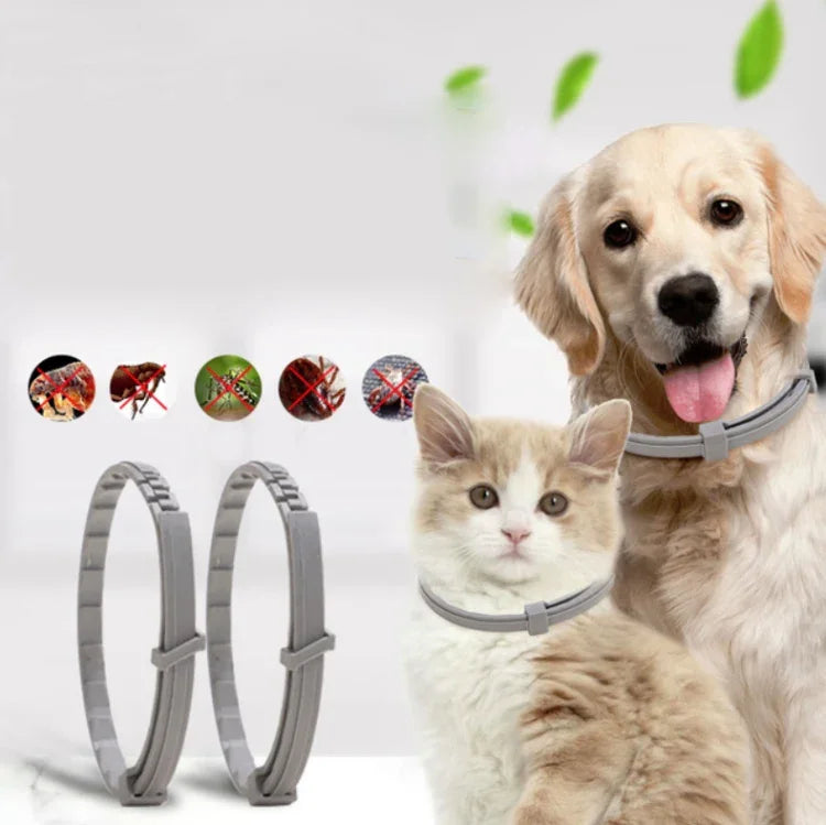 ペット用ノミ＆シラミ防止首輪ペット用体外虫よけリング、小型犬/38cm、大型犬/70cm