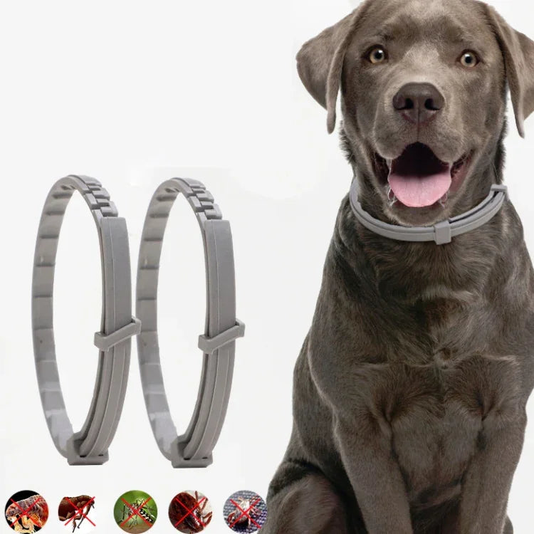 ペット用ノミ＆シラミ防止首輪ペット用体外虫よけリング、小型犬/38cm、大型犬/70cm